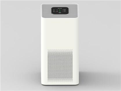 SAP-89001